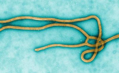 50,000 People Quarantined in Liberia to Contain Ebola