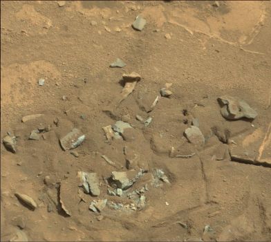 Human Thigh Bone Found on Mars?