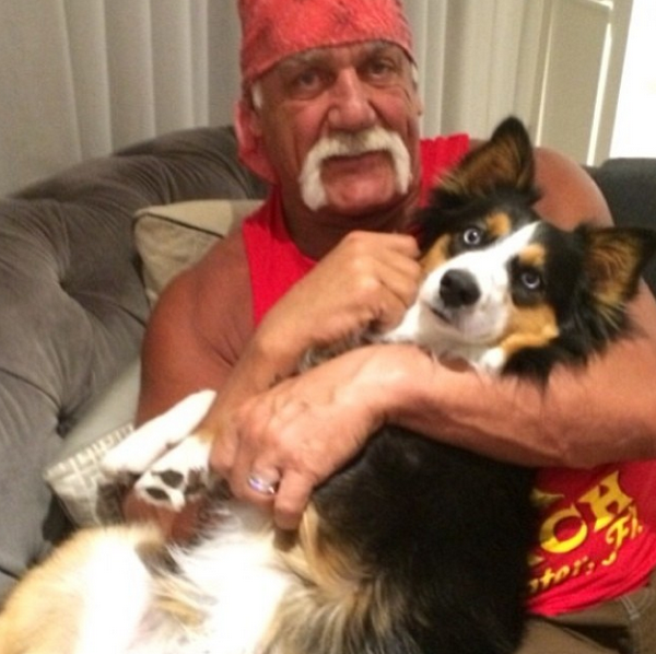 Hulk Hogan Celebrity Birthday Wishes