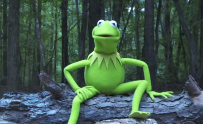 Kermit the Frog Ice Bucket Challenge Video