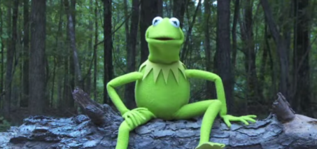 Kermit the Frog Ice Bucket Challenge for ALS Video