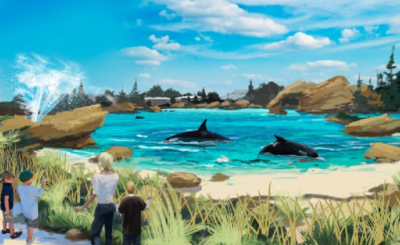 New Habitat for SeaWorld Killer Whales