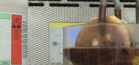 McDonalds Cheeseburger in Stomach Acid Experiment - Hydrochloric Acid