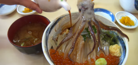 Dead Squid Dancing Video - Squid with Head Cut Off