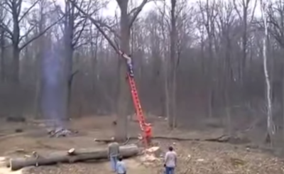 Man Cutting Down Tree Branch Gets Thrown to the Ground