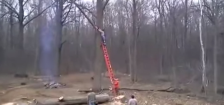 Man Cutting Down Tree Branch Gets Thrown to the Ground