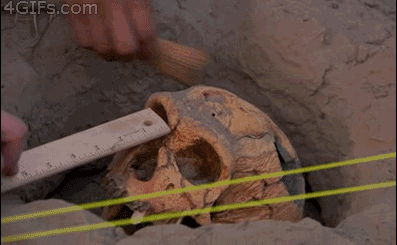 Archaeology Skull Break GIF - Smashing a Piece of History