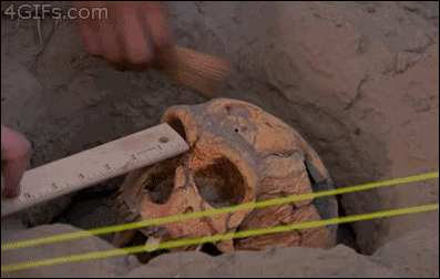 Archaeology Skull Break GIF - Smashing a Piece of History