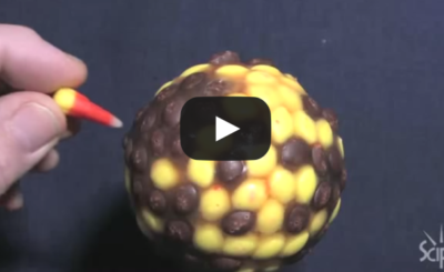 Candy Corn in Space Experiment - SciFri VIDEO