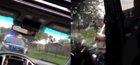 Cops Smash Window, Taser Passenger at Traffic Stop VIDEO