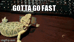 Gotta Go Fast Lizard GIF - Bearded Dragon Running on Wood