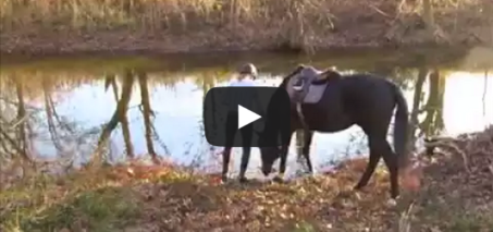 Apprehensive Horse Adorably Splashes In River