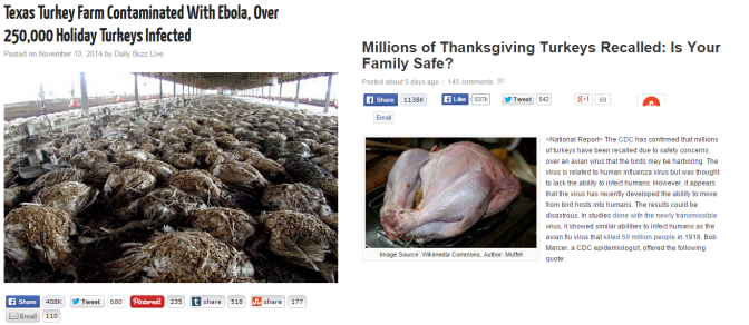 Avian Flu and Ebola Turkey Recall Hoaxes