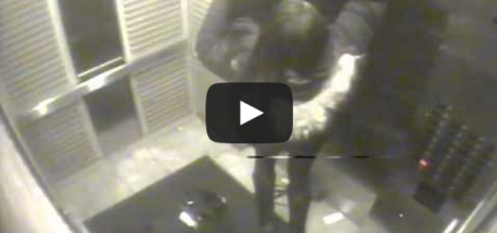 Girl Saves Dog in Elevator: Original Video (Shocking Video)