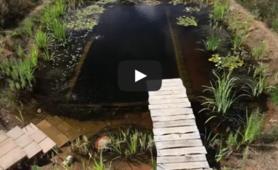 Natural Pools - Natural Pool selfbuild