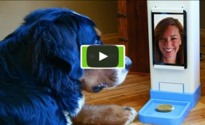 New Invention: iCPooch Internet Pet Treat Delivery & Video Chat