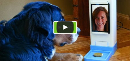 New Invention: iCPooch Internet Pet Treat Delivery & Video Chat