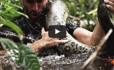 Eaten Alive on Discovery: Man eaten by an Anaconda