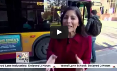 Black lab takes solo bus ride to dog park stop