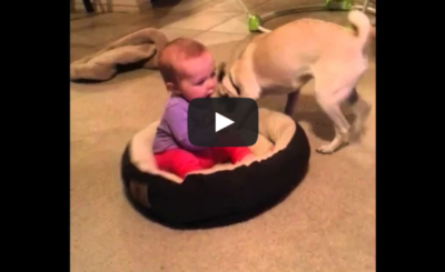 Dog Doesn't Want The Baby In His Bed!