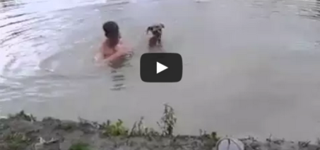 Hero dog jumps in the water to save his owner