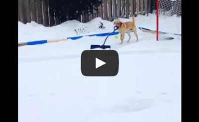 Elsa shoveling the hockey rink.