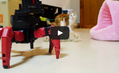 Six-legged walking robot plays with kittens