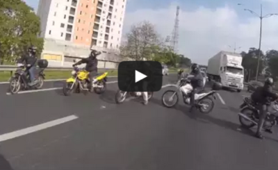 Dog saved by bikers on a highway