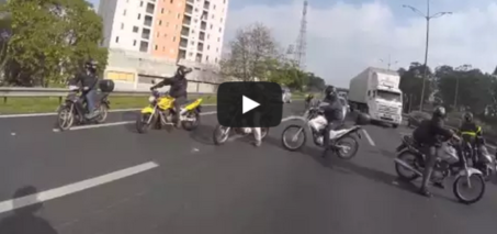 Dog saved by bikers on a highway