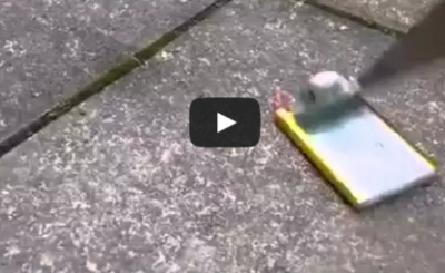 Poking a phone battery with a knife results in explosion