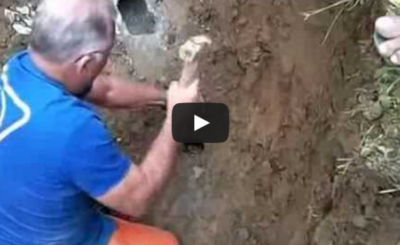 A portuguese Man Rescue A Dog Inside A Pipe