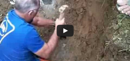 A Portuguese Man Rescues A Dog Inside A Pipe
