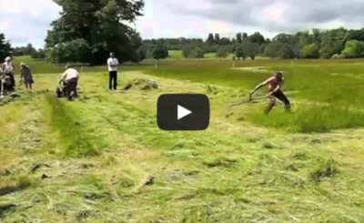 BCS mower vs scythe 2012