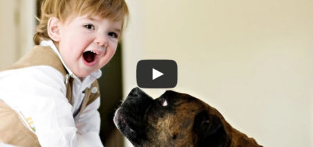 Babies Laughing Hysterically at Dogs Compilation 2015