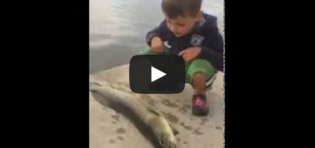 Fish Flop! Kid gets hit in the face with a fish
