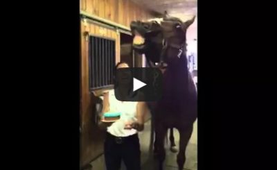 Horse blows out his birthday candles!
