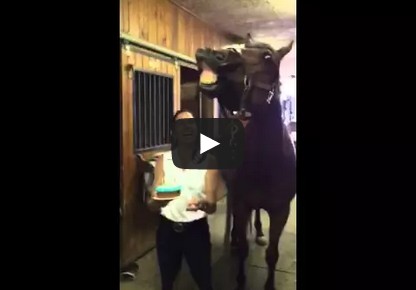 Horse blows out his birthday candles!