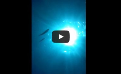 Phone dropped on ocean floor, recovered and it records the whole thing!