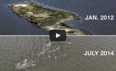 The Gulf Oil Spill Disintegrated This Island