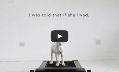 The Pegasus Project