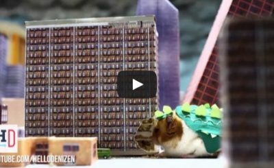 Tiny Hamster is a Giant Monster