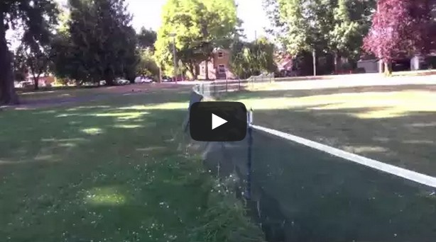 First Front Flip - Dog runs into a fence and front flips