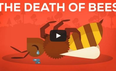 The Death Of Bees Explained