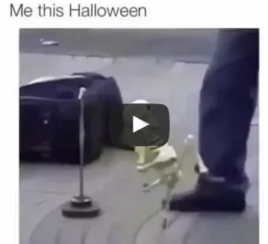 Me this Halloween - Skeleton Dancing to Hotline Bling by Drake