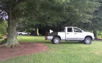 truck vs. tree