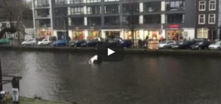 Four men save a woman and child from a sinking car in Amsterdam
