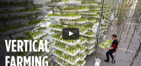 This Farm of the Future Uses No Soil and 95% Less Water