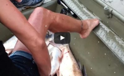 Asian Carp Assault Boaters - Funny Fish Attack