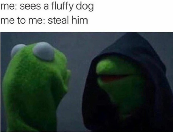 40 Evil Kermit The Frog Me To Me Memes
